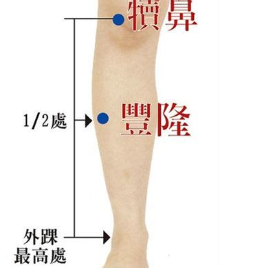 風龍穴|人體穴位大全——豐隆穴：百病皆因痰作祟，祛痰就找豐隆穴